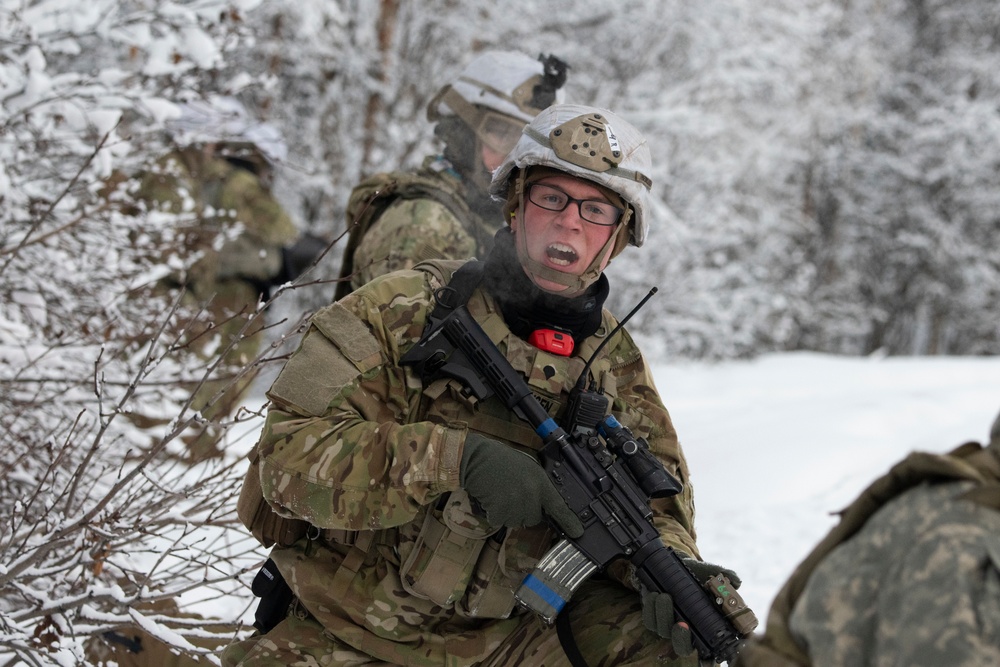 'Denali’ paratroopers conduct squad live-fire training