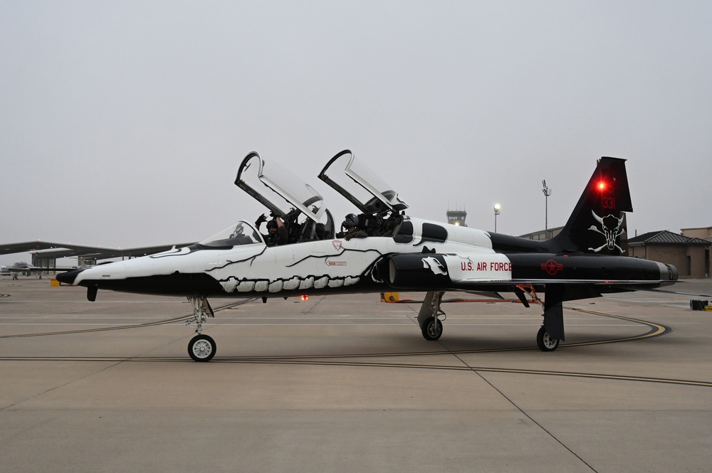 T-38 87th FTS Heritage Tail