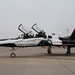 T-38 87th FTS Heritage Tail