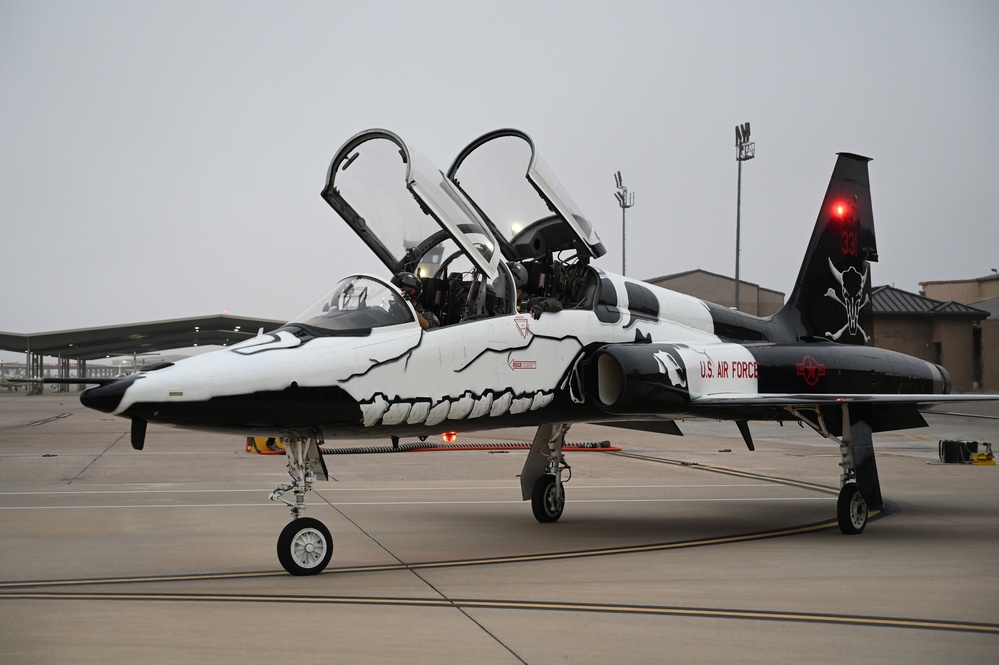 T-38 87th FTS Heritage Tail