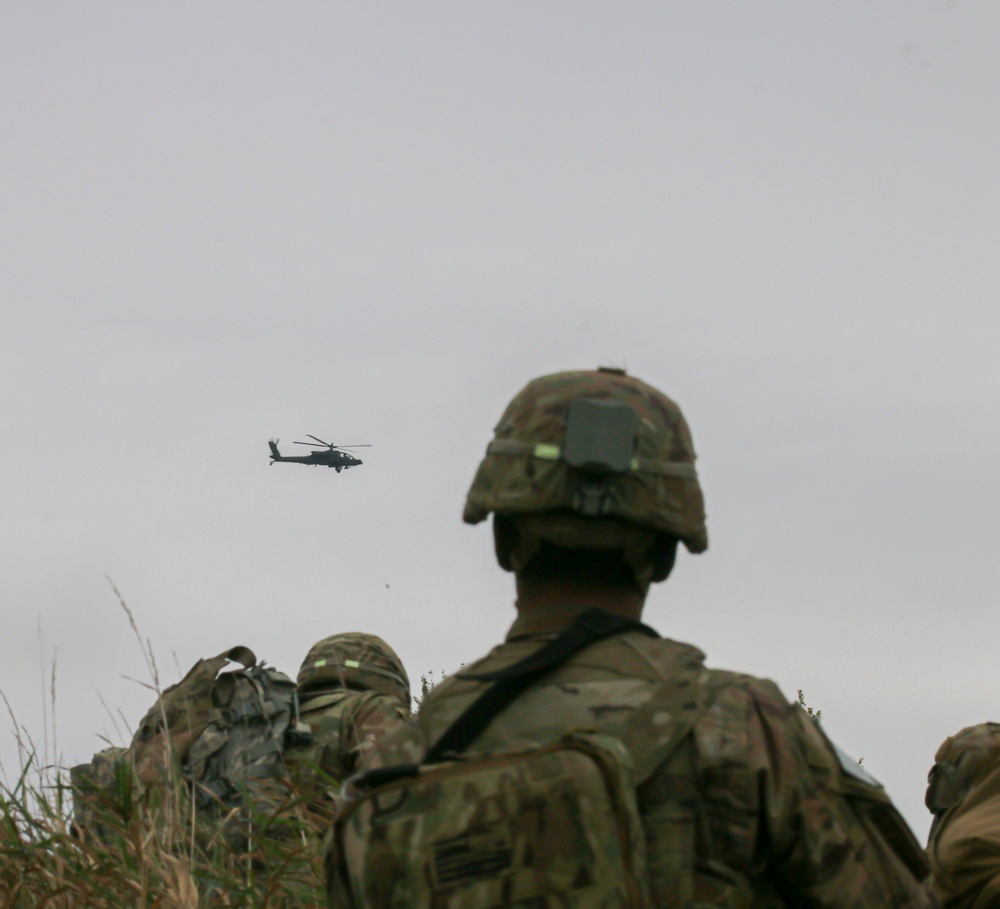 DVIDS - Images - 10th MTN DIV Warrior Peak Exercise [Image 25 of 30]