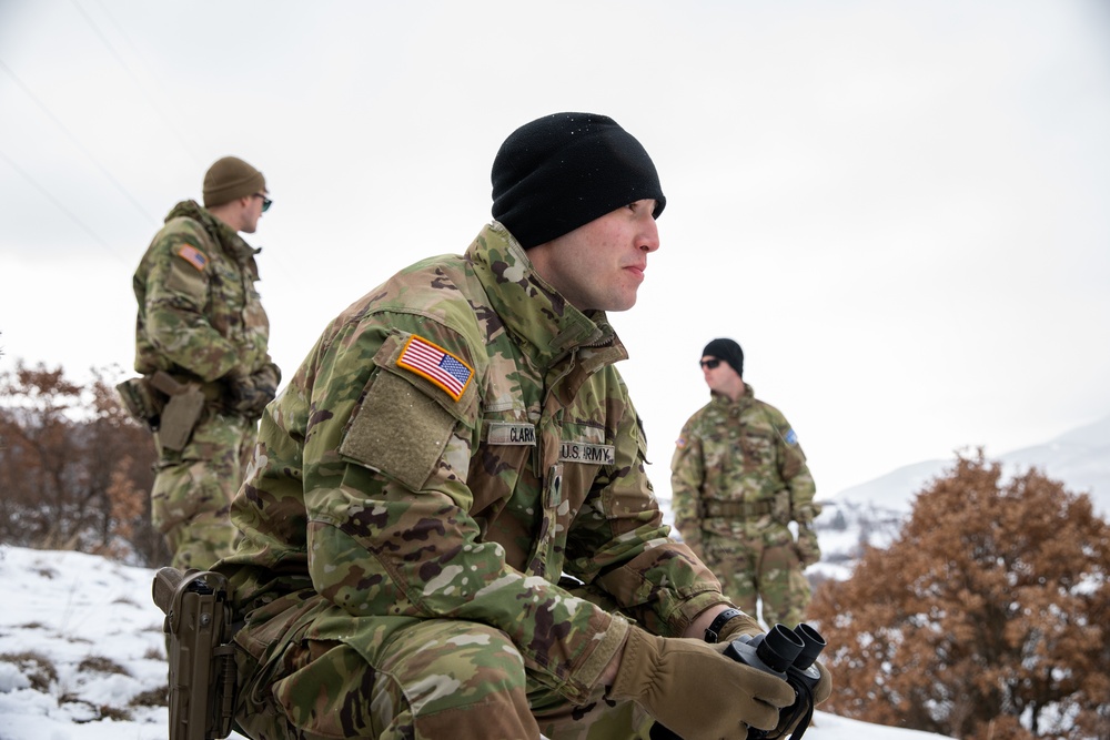 KFOR RC-E Cavalry Scouts Conduct Winter Patrol