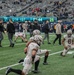 10th Combat Aviation Brigade Attends Army-Navy Game