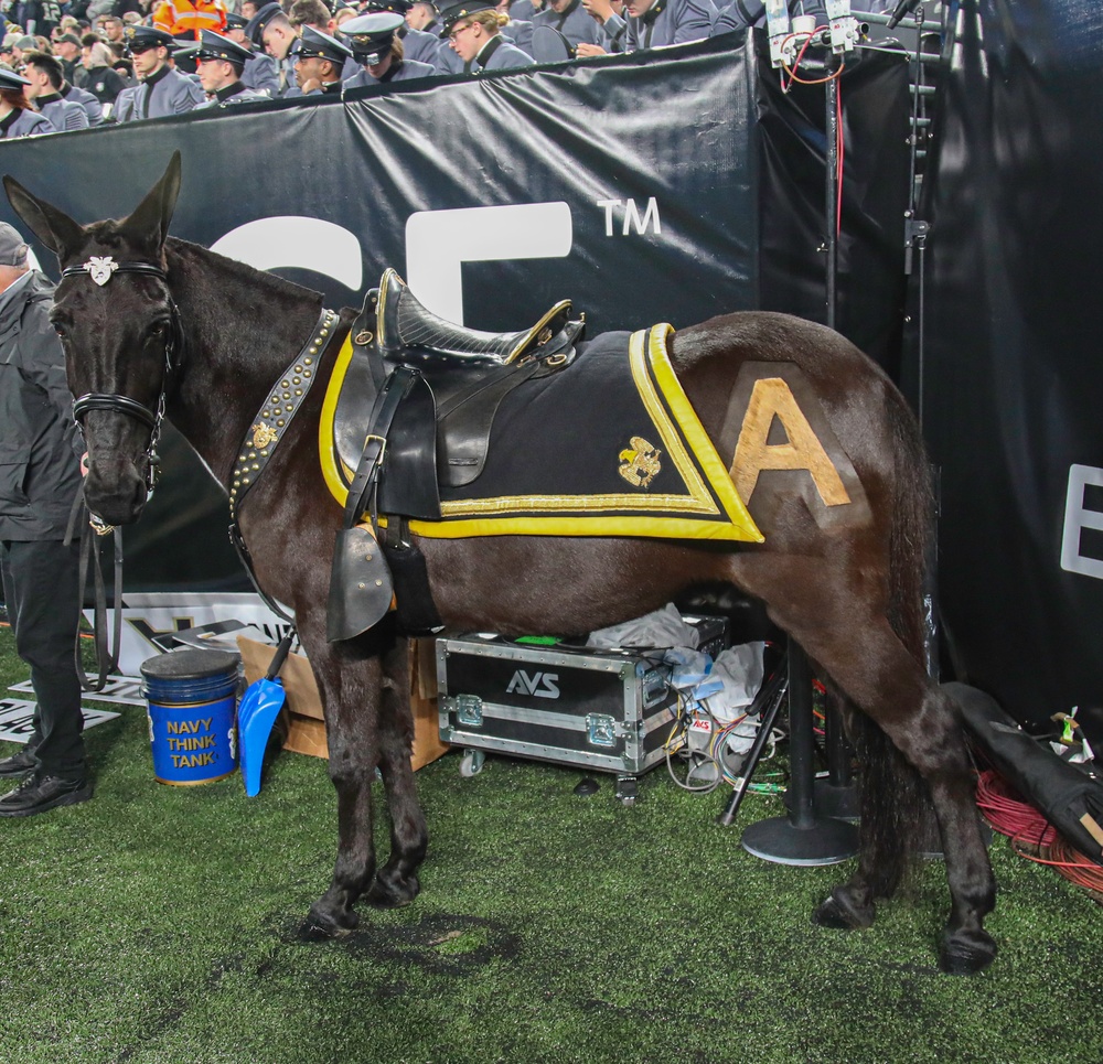 10th Combat Aviation Brigade Attends Army-Navy Game