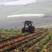 Potato farmers in Tubas