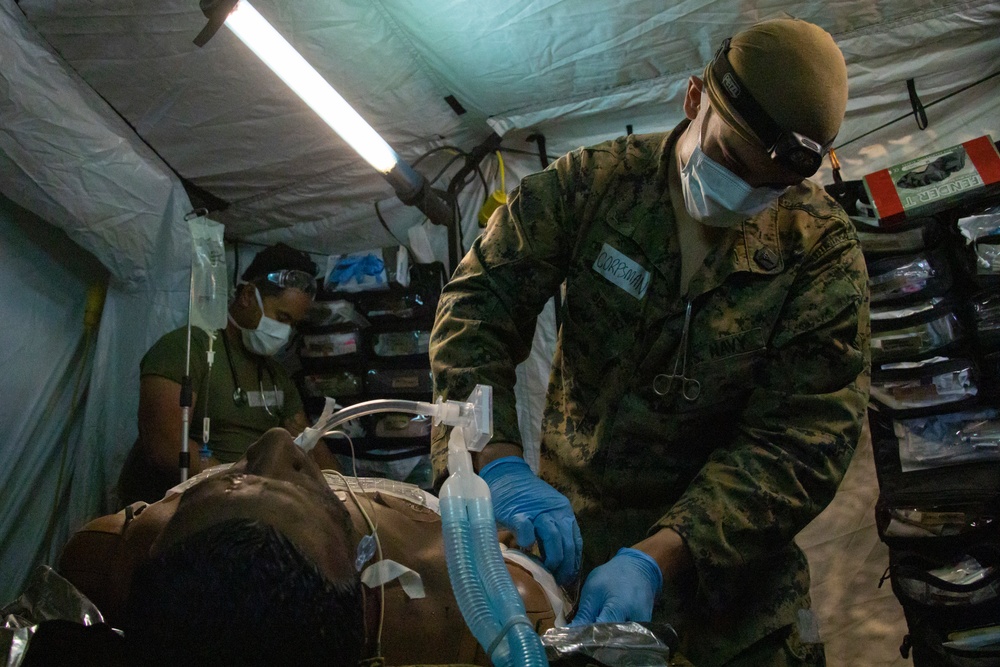 Iron Fist 2022: US Marines, Sailors, Japan Ground Self-Defense Force soldiers participate in mass casualty exercise