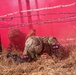 Army Best Medic Competition 2022 - Mystery Event