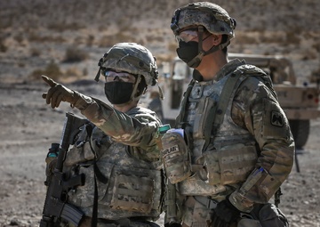 At NTC, specialized teams practice stability operations following large-scale combat
