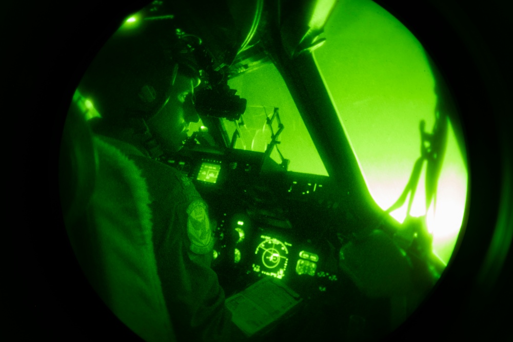 Pueo Night Vision