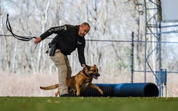 2nd SFS, local agencies unite K-9 training