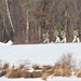 After cold January, CWOC students cite Fort McCoy as ideal training location for course