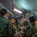 Mass Casualty CLB-13 Iron Fist 22