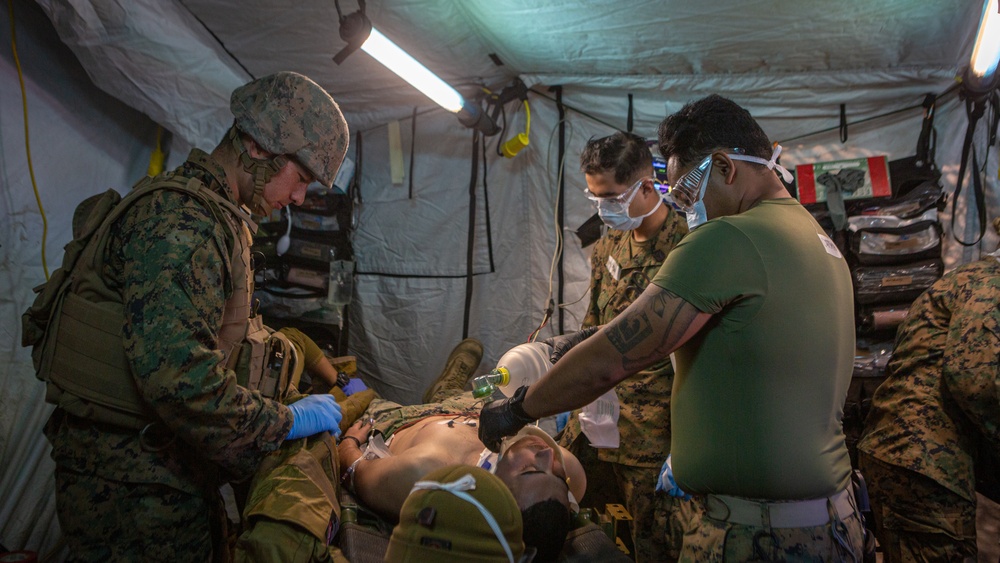 Mass Casualty CLB-13 Iron Fist 22