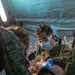 Mass Casualty CLB-13 Iron Fist 22