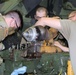 Construction Equipment Repairer Advanced Leader Course students build skills at Fort McCoy