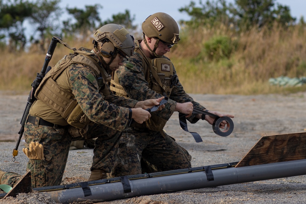 31st MEU: We Make It Look Easy