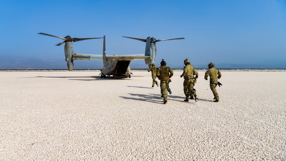 82nd ERQS PJs fast rope out MV-22 Osprey