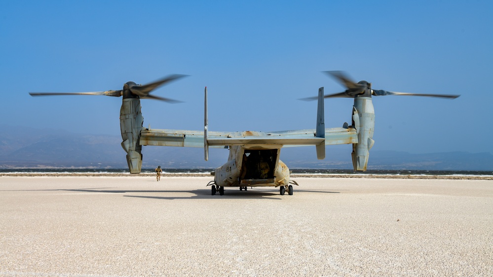 82nd ERQS PJs fast rope out MV-22 Osprey