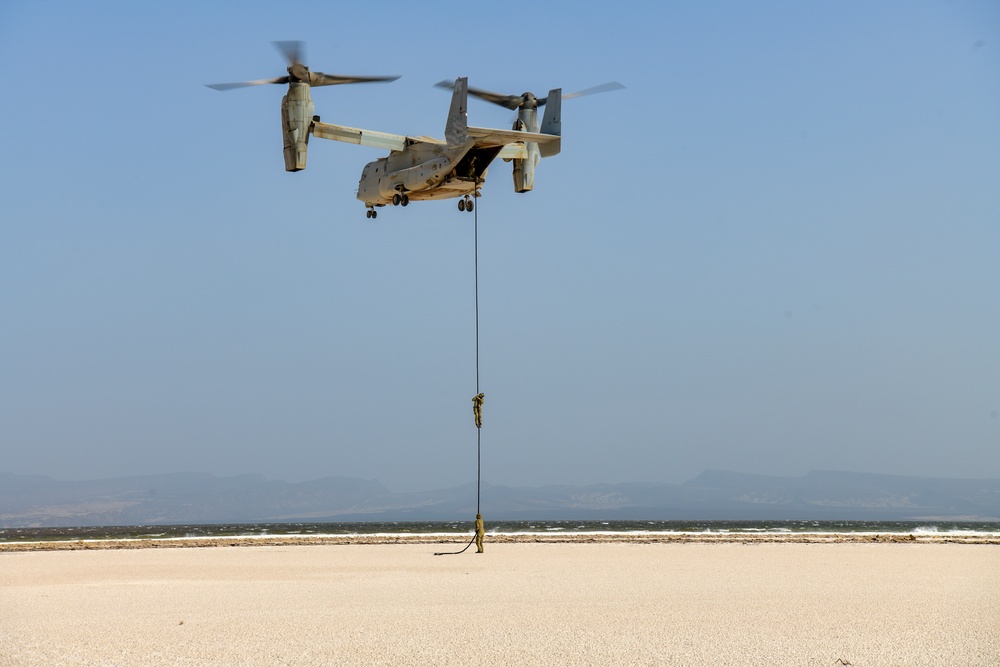 82nd ERQS PJs fast rope out MV-22 Osprey