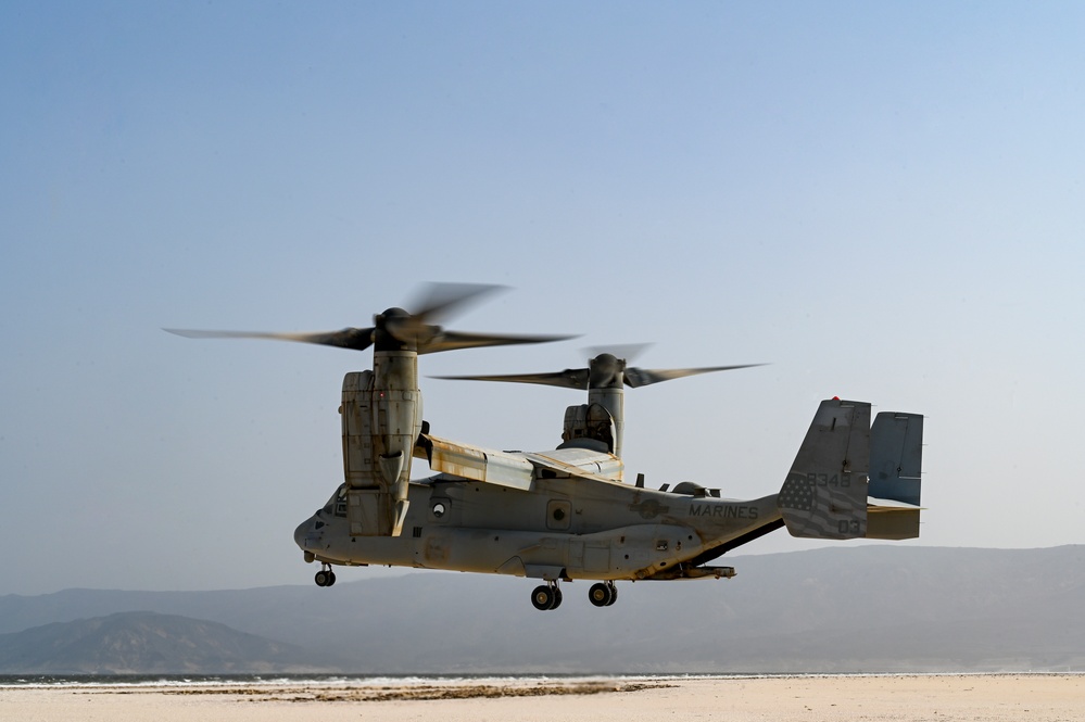 82nd ERQS PJs fast rope out MV-22 Osprey