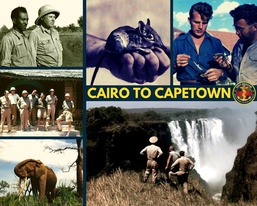 The Taming of the (Elephant) Shrew: The Story of Navy Medicine’s “Cairo to Capetown” Expedition of 1948