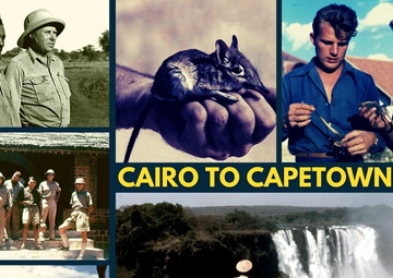 The Taming of the (Elephant) Shrew: The Story of Navy Medicine’s “Cairo to Capetown” Expedition of 1948