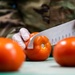 Nightingale Dining Facility: Care in every Meal