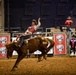 Belton Rodeo Expo 2022