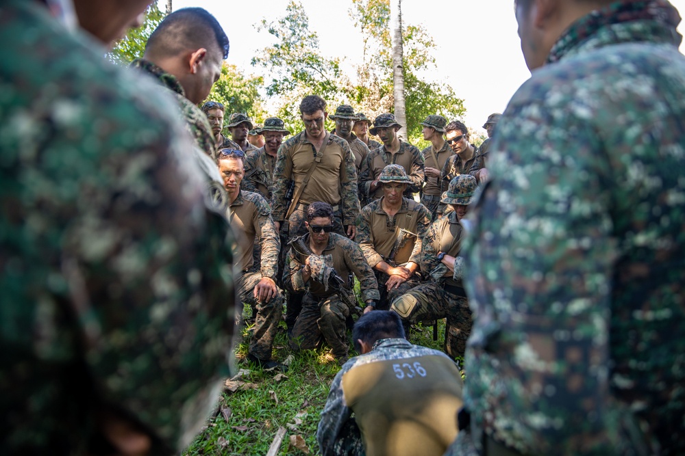 DVIDS - Images - 11th MEU participates in Jungle Warfare class in ...