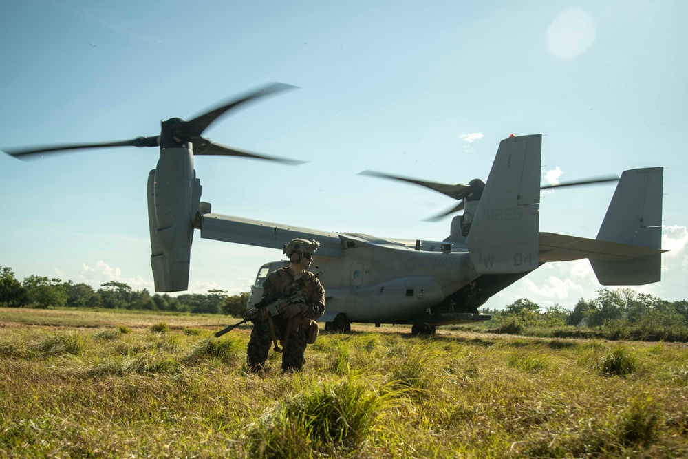 Charlie Co., BLT 1/1, 11th MEU conducts an amphibious assault demonstration in support of MAREX PH 22