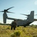 Charlie Co., BLT 1/1, 11th MEU conducts an amphibious assault demonstration in support of MAREX PH 22