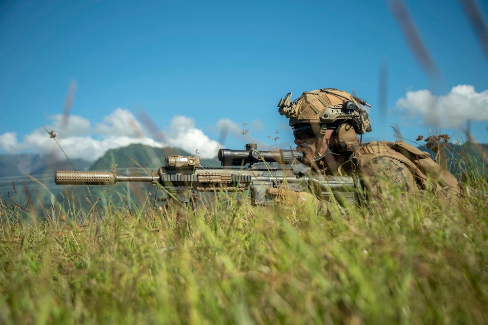Charlie Co., BLT 1/1, 11th MEU conducts an amphibious assault demonstration in support of MAREX PH 22