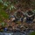 Bravo Company 1/2 Mountain Exercise Bravo Company 1/2 Mountain Exercise