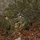 Bravo Company 1/2 Mountain Exercise Bravo Company 1/2 Mountain Exercise