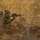 Bravo Company 1/2 Mountain Exercise Bravo Company 1/2 Mountain Exercise