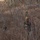 Bravo Company 1/2 Mountain Exercise Bravo Company 1/2 Mountain Exercise