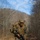 Bravo Company 1/2 Mountain Exercise Bravo Company 1/2 Mountain Exercise