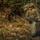 Bravo Company 1/2 Mountain Exercise Bravo Company 1/2 Mountain Exercise