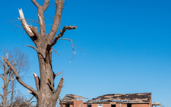 Tornado Damage in Hartford, KY