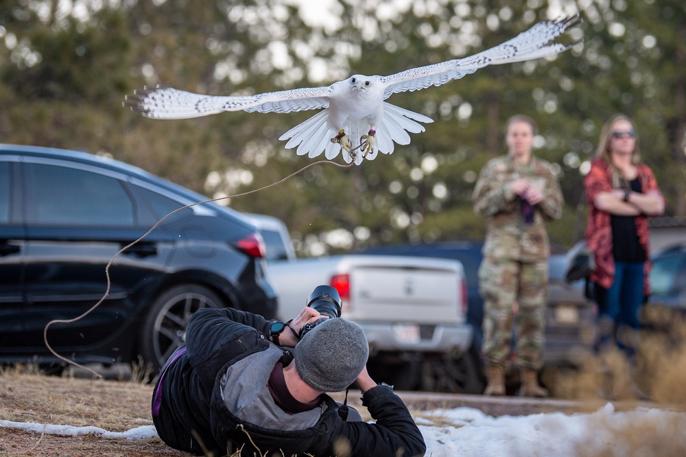 USAFA Falconry Photography