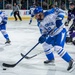 USAFA Hockey vs Holy Cross