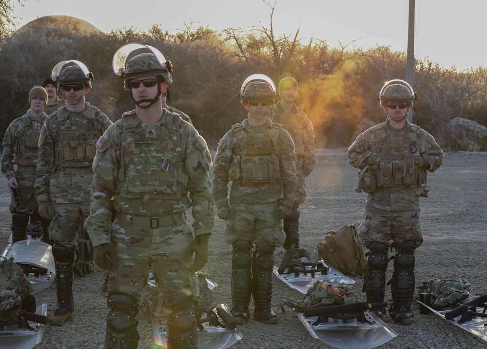 Crowd Riot Control Training