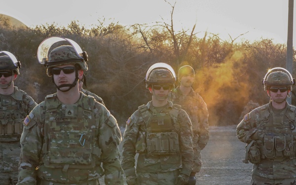 Crowd Riot Control Training