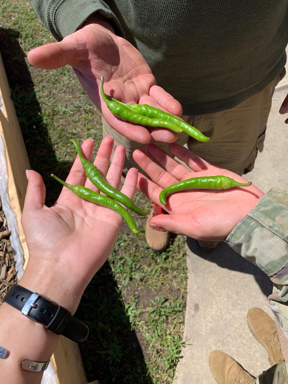 SRU Gardening Program Helps Soldiers Connect with the Earth, Themselves