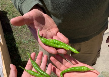 SRU Gardening Program Helps Soldiers Connect with the Earth, Themselves