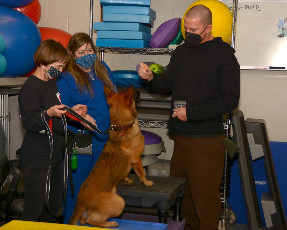 Channing Tatum, crew of DOG movie tour Holland MWD veterinary hospital