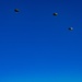 Italian and American Paratroopers Conduct Joint Airborne Operations