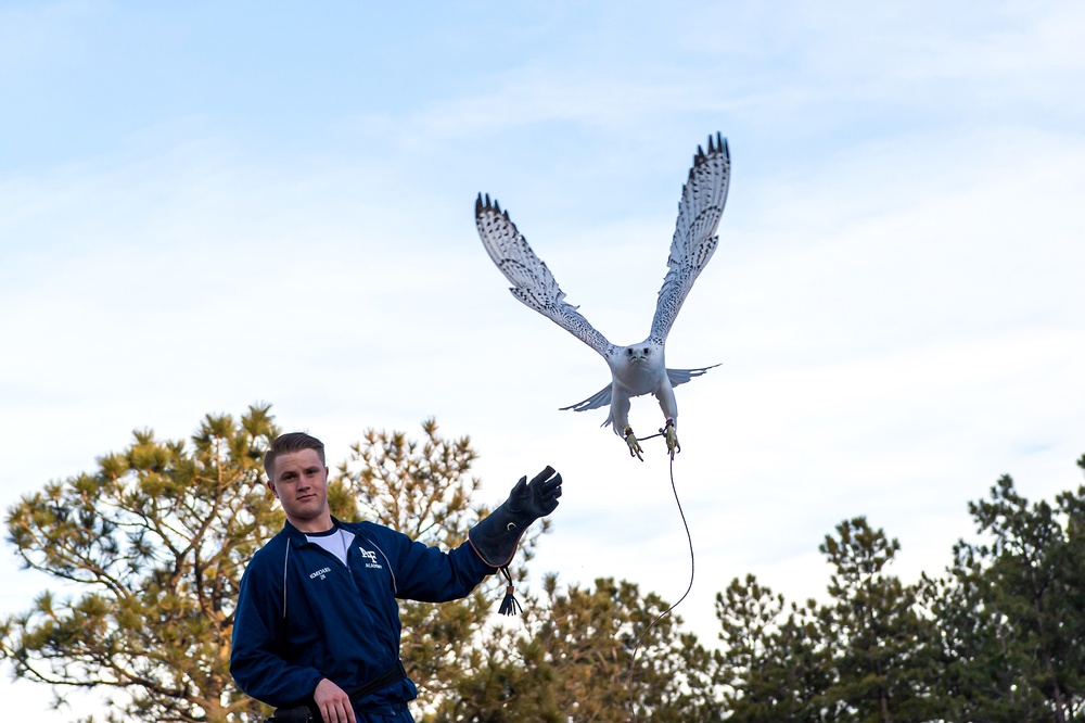 U.S. Air Force Academy Falconry