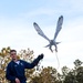 U.S. Air Force Academy Falconry