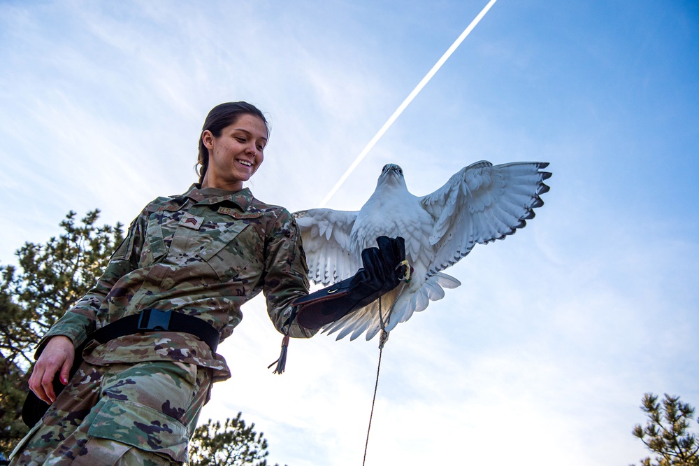 U.S. Air Force Academy Falconry